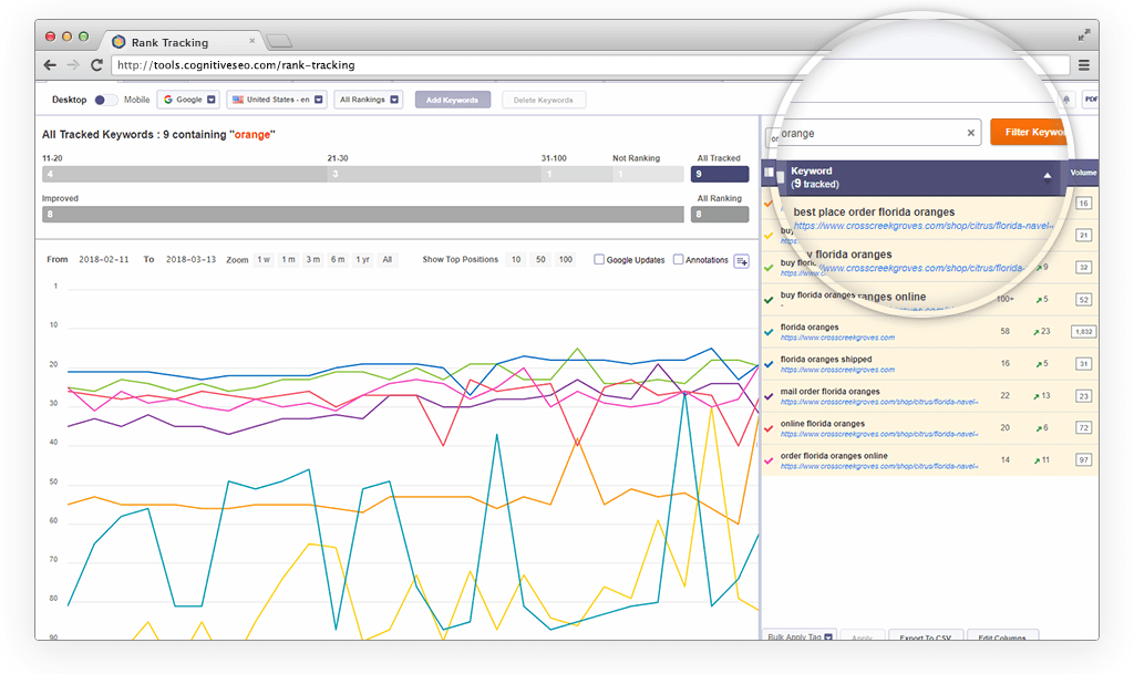 Cognitive SEO Rank Tracker